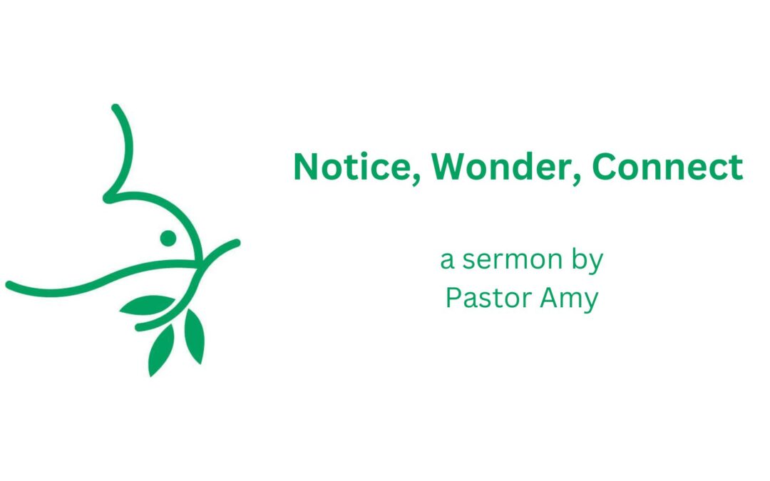 Notice, Wonder, Connect: Anna and Simeon in the Temple