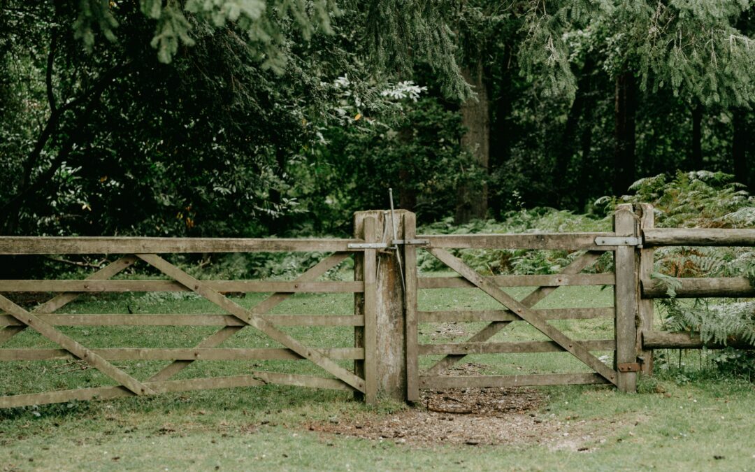 The Best Fences Have Gates