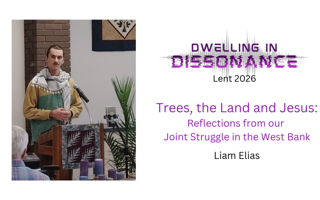 Trees, the Land and Jesus: Stories and Reflections from our Joint Struggle in the West Bank
