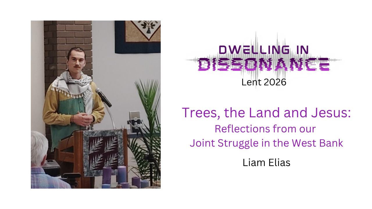 Trees, the Land and Jesus: Stories and Reflections from our Joint Struggle in the West Bank