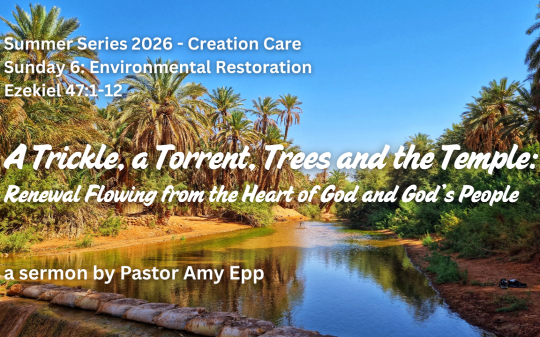 A Trickle, A Torrent, Trees and the Temple