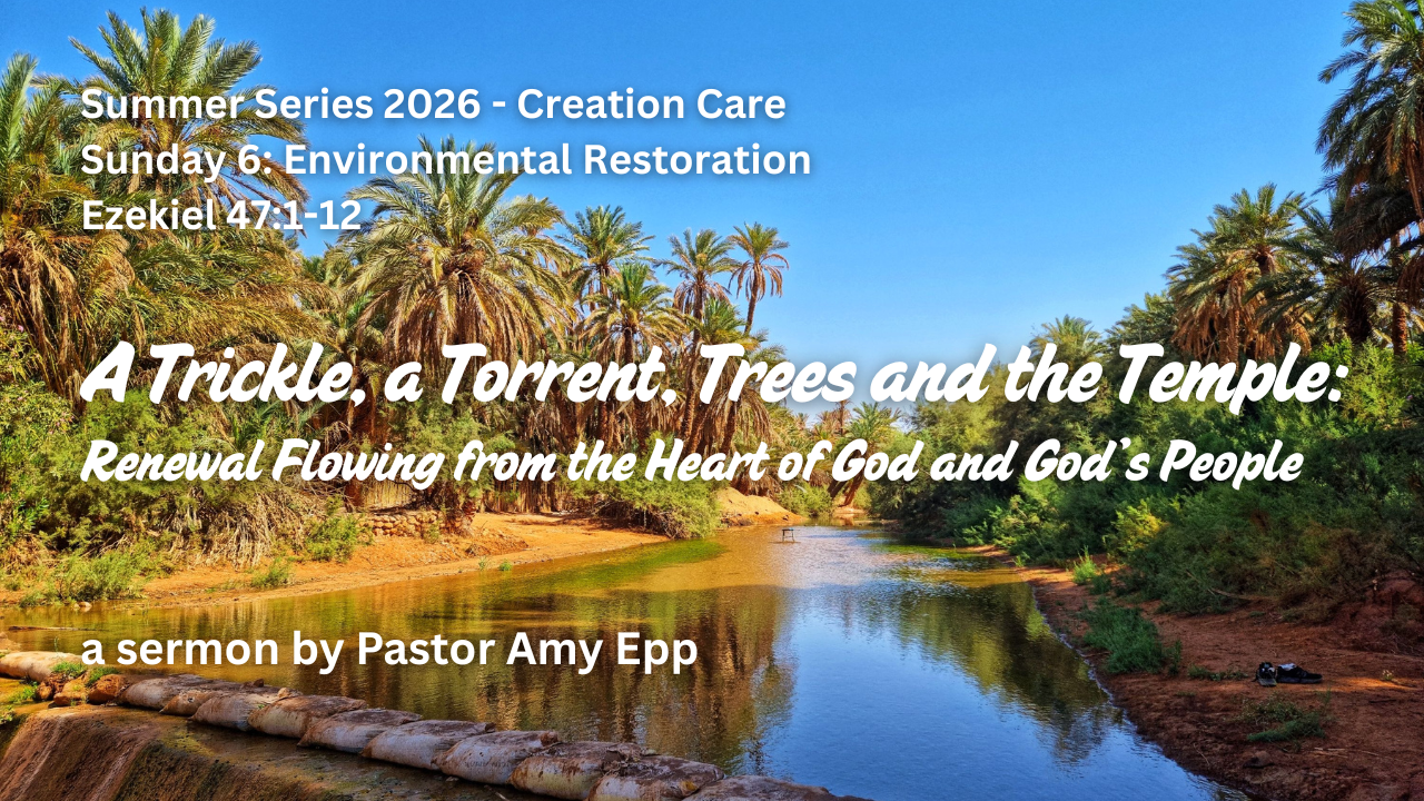 A Trickle, A Torrent, Trees and the Temple