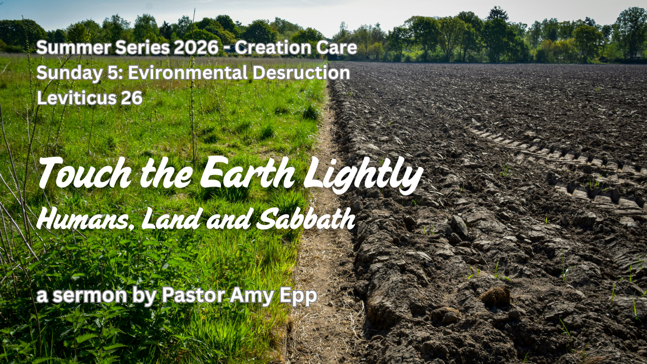 Touch the Earth Lightly